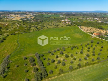 Terreno Misto para Venda em Romeira e Várzea