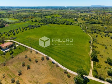 Terreno Misto para Venda em Romeira e Várzea