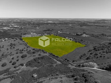 Terreno Misto para Venda em Romeira e Várzea