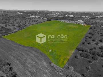 Terreno Misto para Venda em Romeira e Várzea