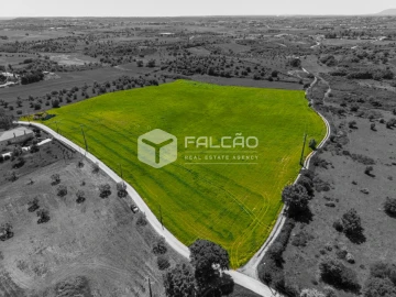 Terreno Misto para Venda em Romeira e Várzea