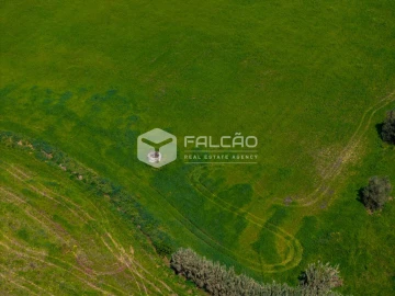 Terreno Misto para Venda em Romeira e Várzea