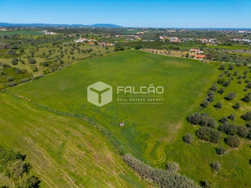 Terreno Misto para Venda em Romeira e Várzea