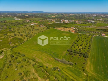 Terreno Misto para Venda em Romeira e Várzea