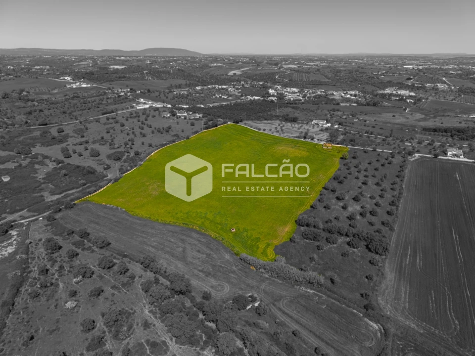 Terreno Misto para Venda em Romeira e Várzea Foto 2