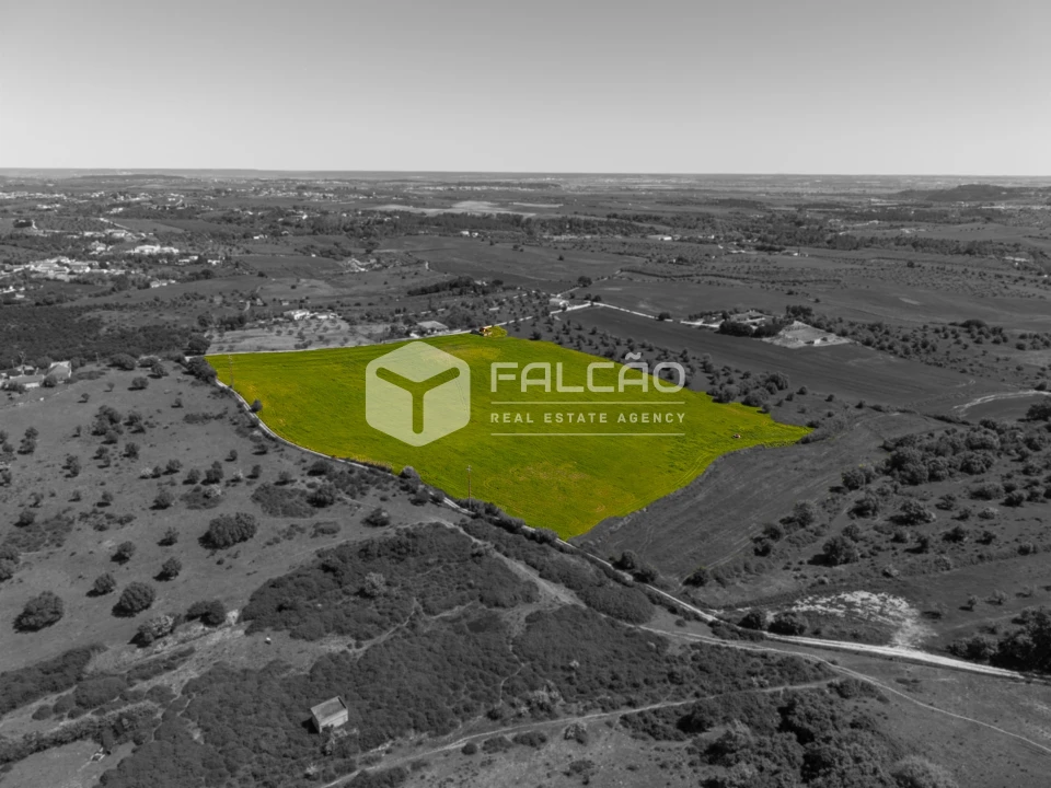 Terreno Misto para Venda em Romeira e Várzea Foto 1