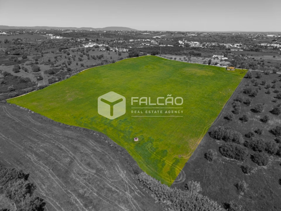 Terreno Misto para Venda em Romeira e Várzea Foto 11