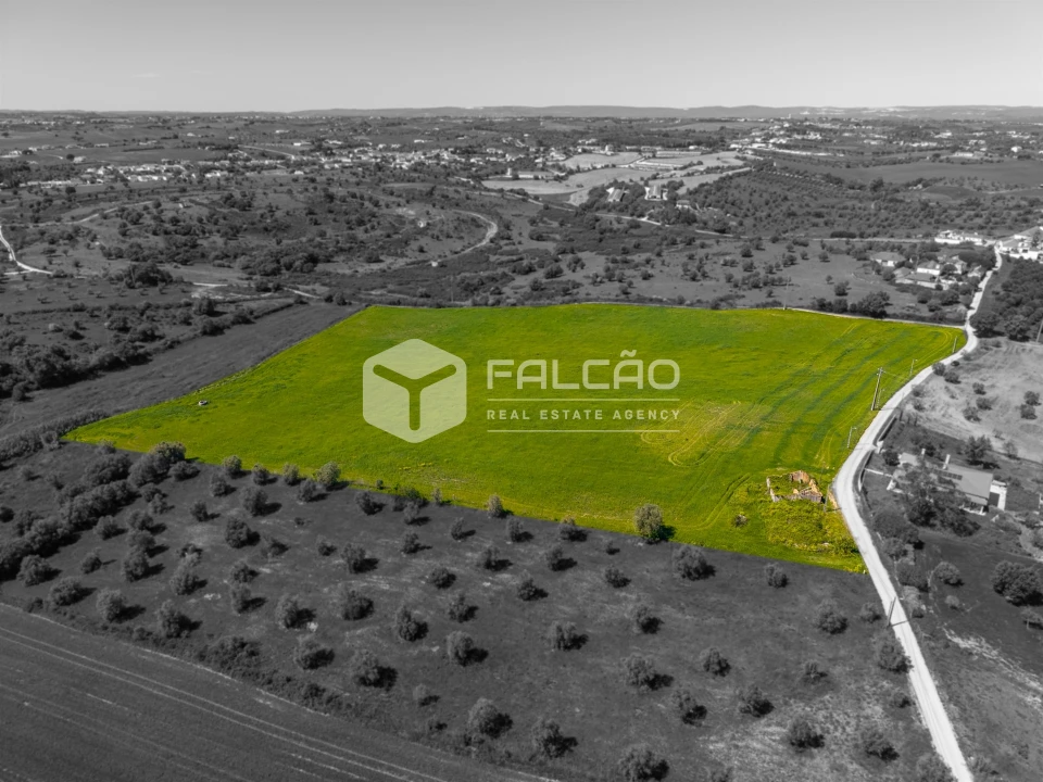 Terreno Misto para Venda em Romeira e Várzea Foto 15