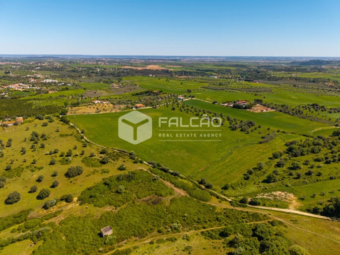 Terreno Misto para Venda em Romeira e Várzea Foto 9