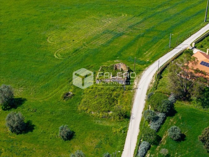 Terreno Misto para Venda em Romeira e Várzea Foto 19