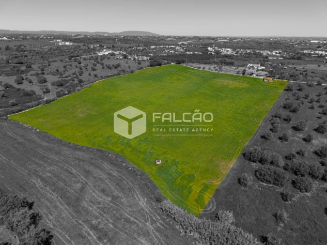 Terreno Misto para Venda em Romeira e Várzea Foto 11