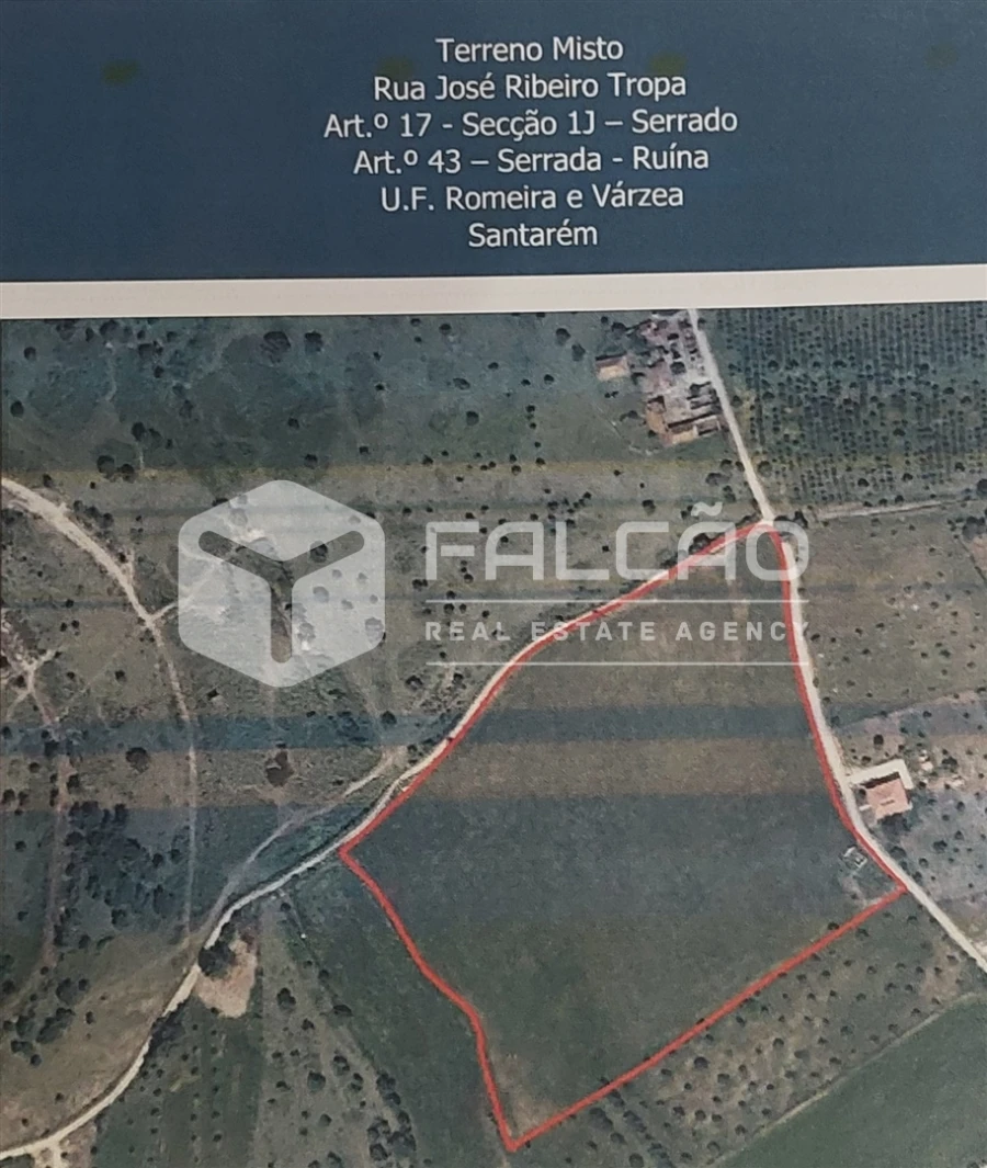 Terreno Misto para Venda em Romeira e Várzea Planta 1