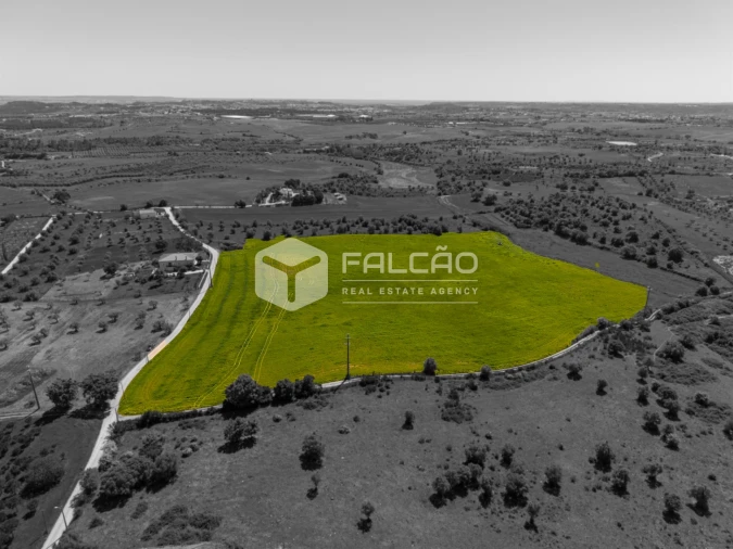 Terreno Misto para Venda em Romeira e Várzea Foto 7