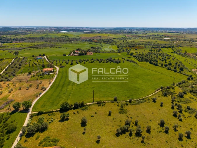 Terreno Misto para Venda em Romeira e Várzea Foto 8