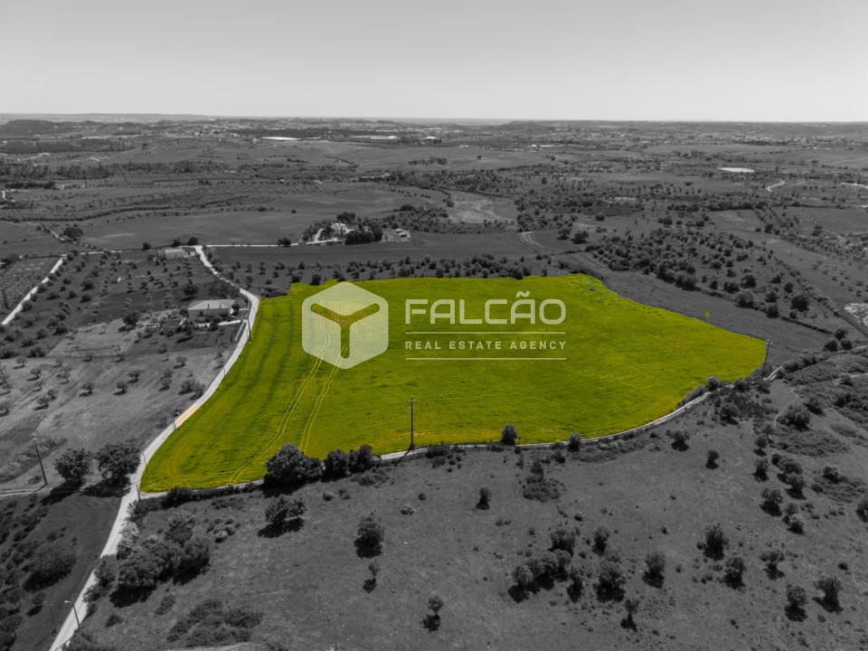 Terreno Misto para Venda em Romeira e Várzea Foto 7