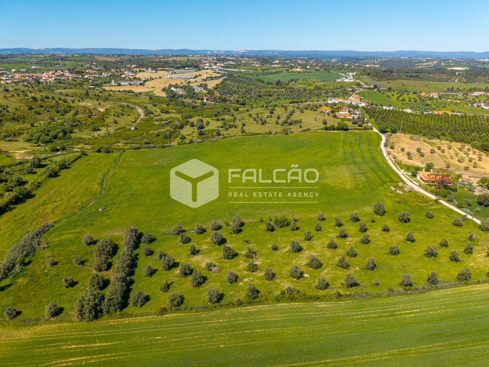 Terreno Misto para Venda em Romeira e Várzea Foto 14