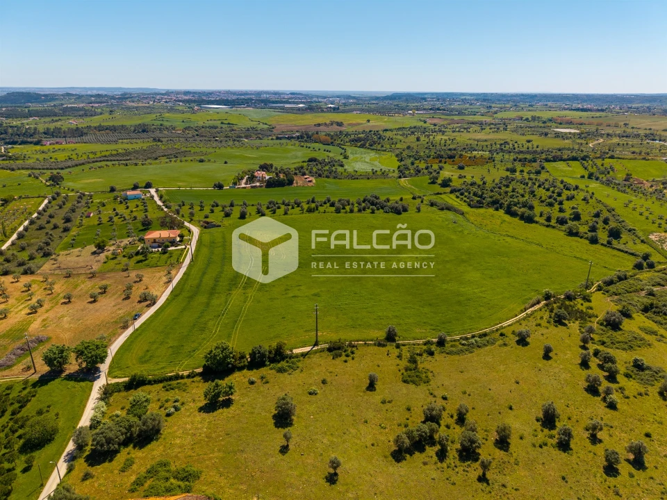 Terreno Misto para Venda em Romeira e Várzea Foto 8