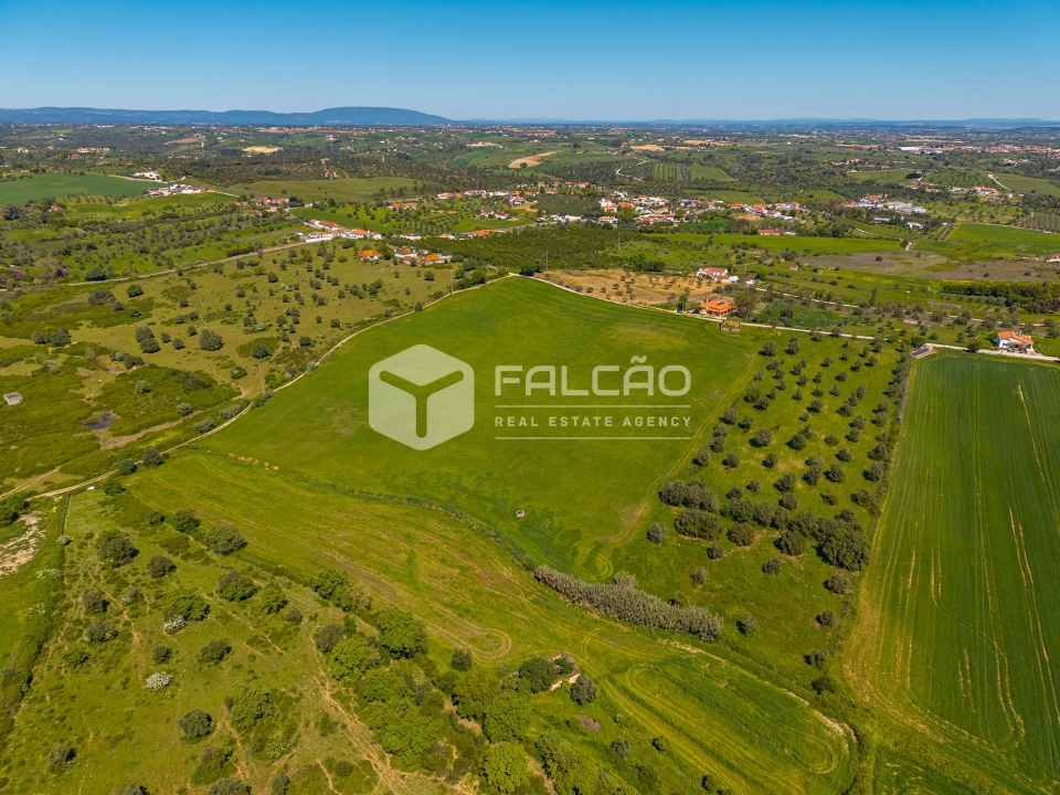 Terreno Misto para Venda em Romeira e Várzea Foto 3