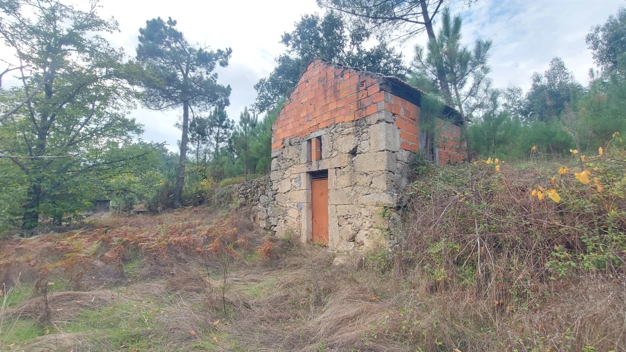 Quinta T0 para Venda em Mangualde, Mesquitela e Cunha Alta Foto 13