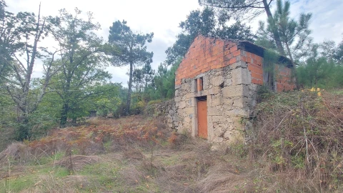 Quinta T0 para Venda em Mangualde, Mesquitela e Cunha Alta