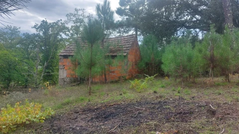 Quinta T0 para Venda em Mangualde, Mesquitela e Cunha Alta