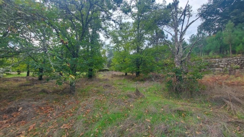 Quinta T0 para Venda em Mangualde, Mesquitela e Cunha Alta