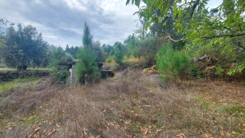 Quinta T0 para Venda em Mangualde, Mesquitela e Cunha Alta