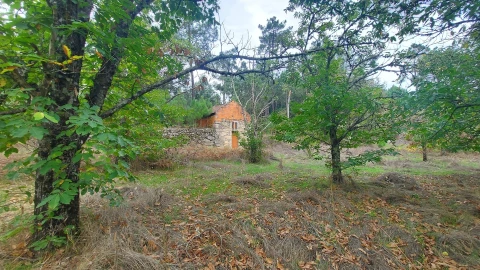 Quinta T0 para Venda em Mangualde, Mesquitela e Cunha Alta