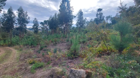 Quinta T0 para Venda em Mangualde, Mesquitela e Cunha Alta