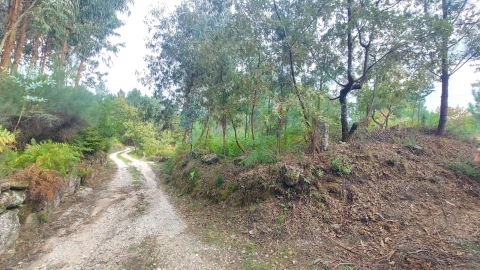 Quinta T0 para Venda em Mangualde, Mesquitela e Cunha Alta
