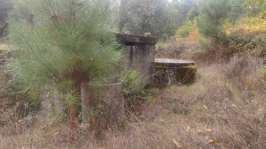 Quinta T0 para Venda em Mangualde, Mesquitela e Cunha Alta Foto 15
