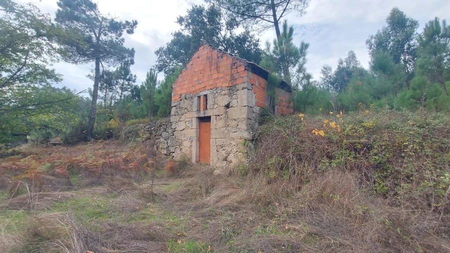 Quinta T0 para Venda em Mangualde, Mesquitela e Cunha Alta Foto 8