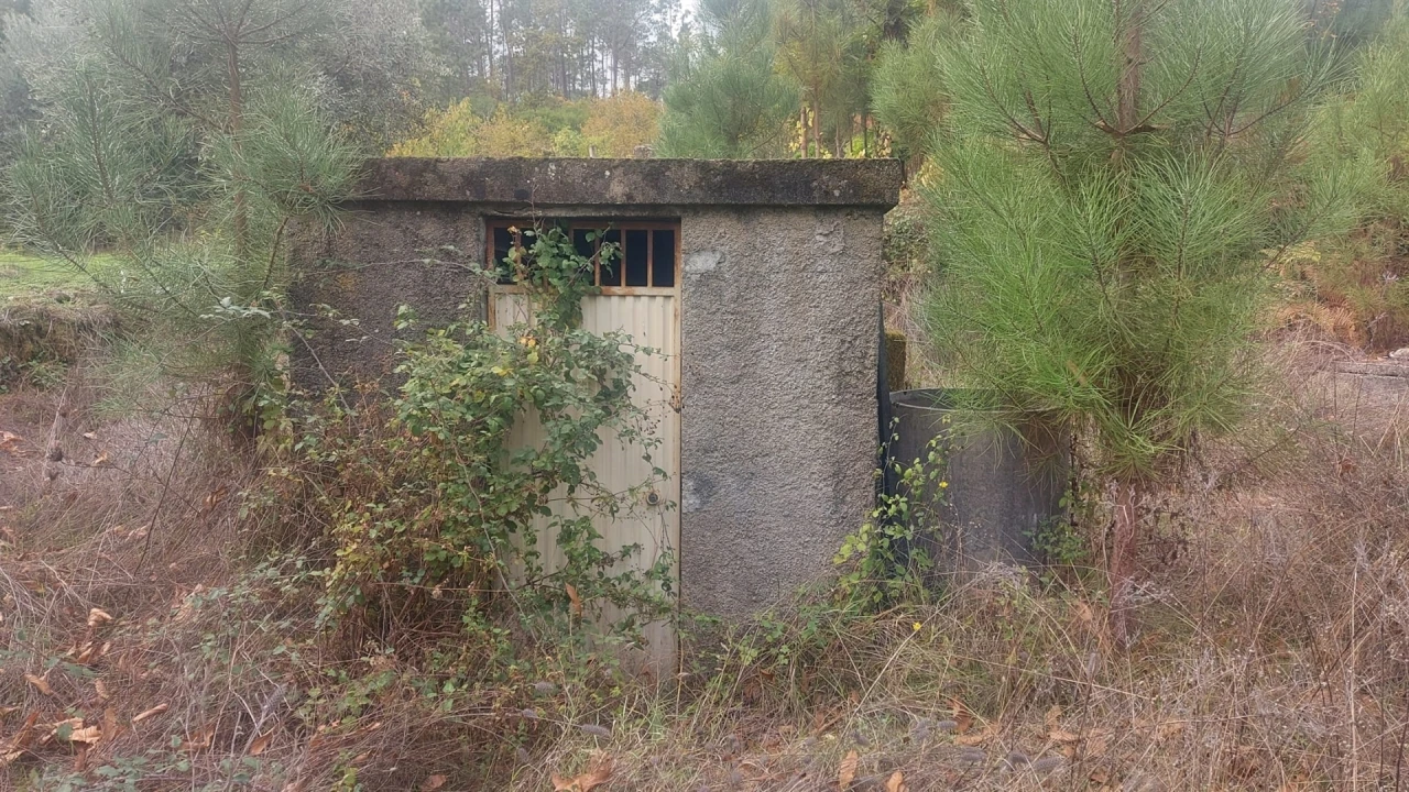 Quinta T0 para Venda em Mangualde, Mesquitela e Cunha Alta Foto 16