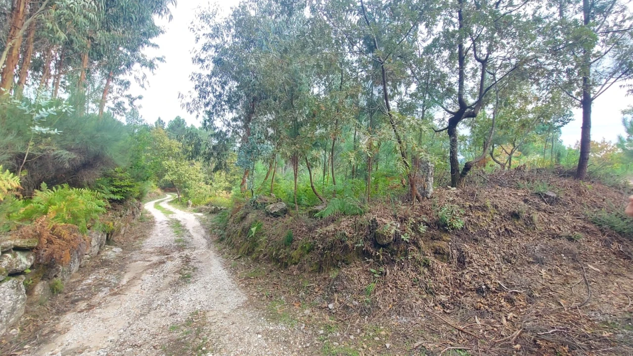 Quinta T0 para Venda em Mangualde, Mesquitela e Cunha Alta Foto 1
