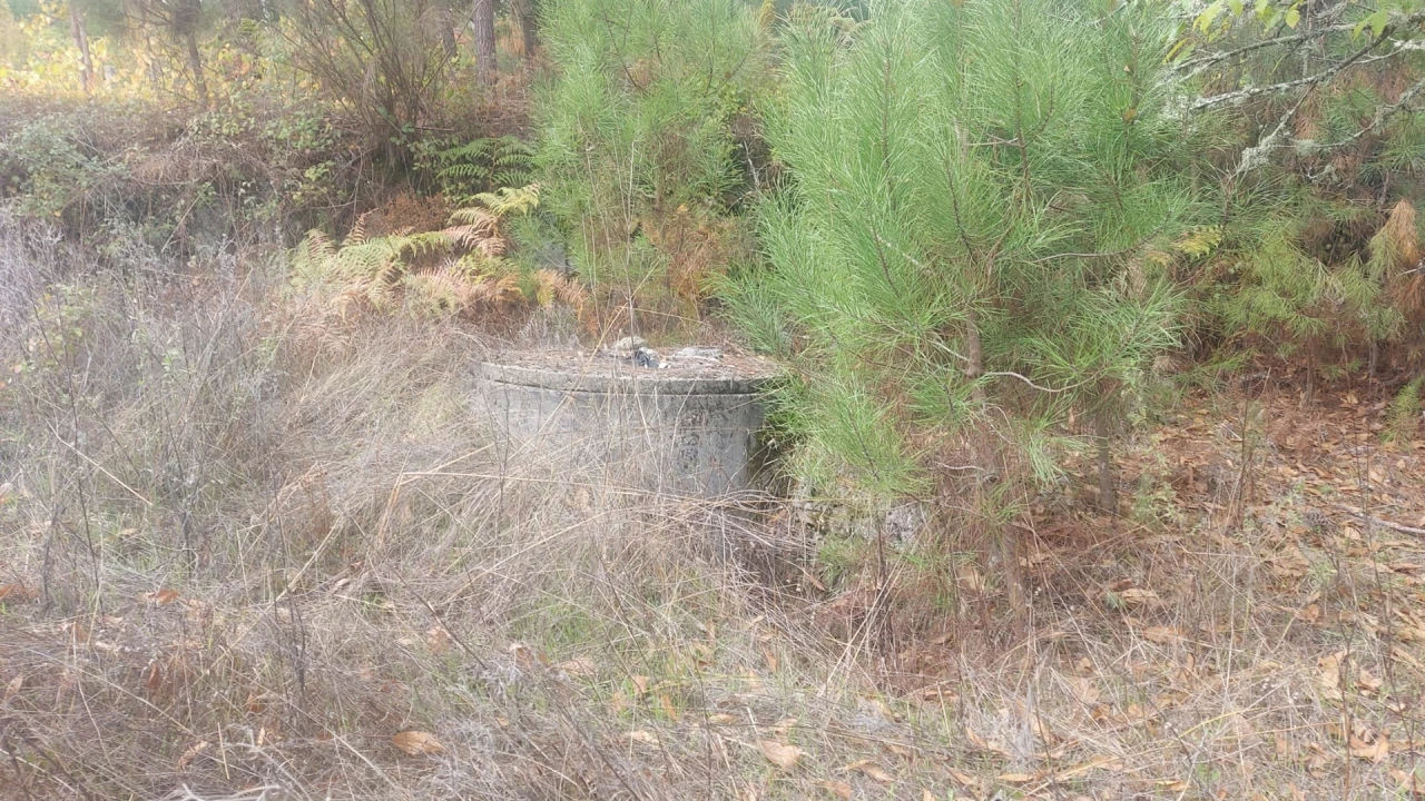 Quinta T0 para Venda em Mangualde, Mesquitela e Cunha Alta Foto 23