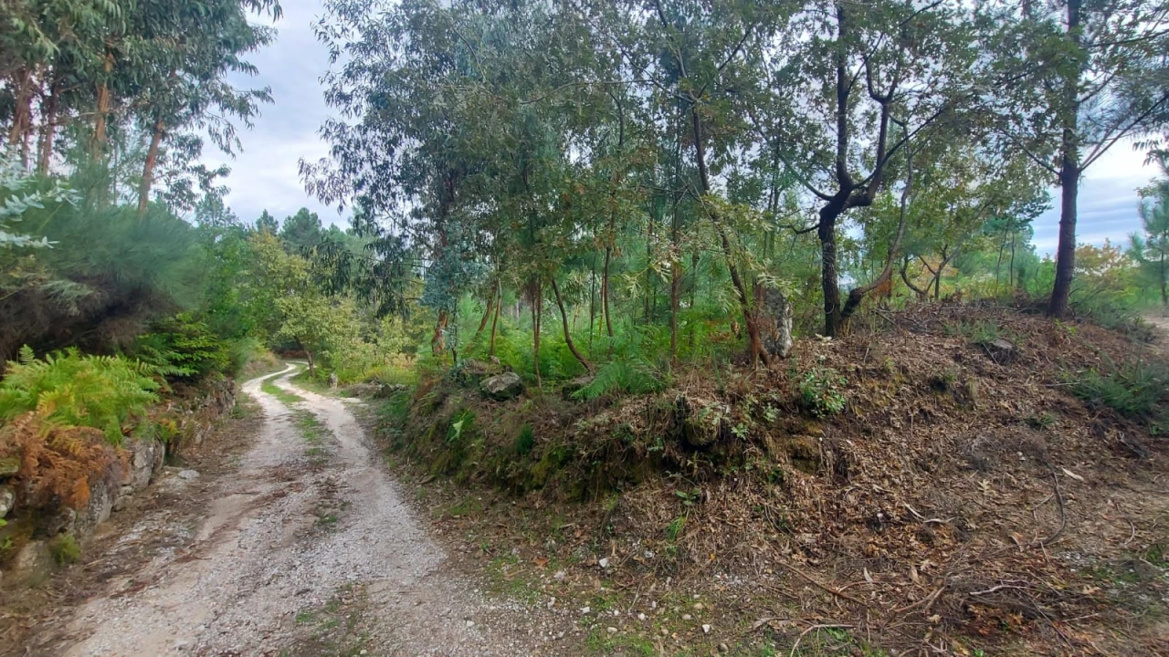 Quinta T0 para Venda em Mangualde, Mesquitela e Cunha Alta Foto 11