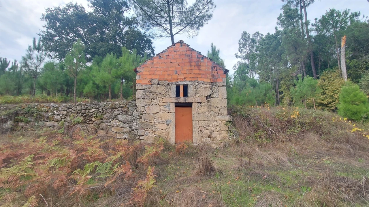 Quinta T0 para Venda em Mangualde, Mesquitela e Cunha Alta Foto 14