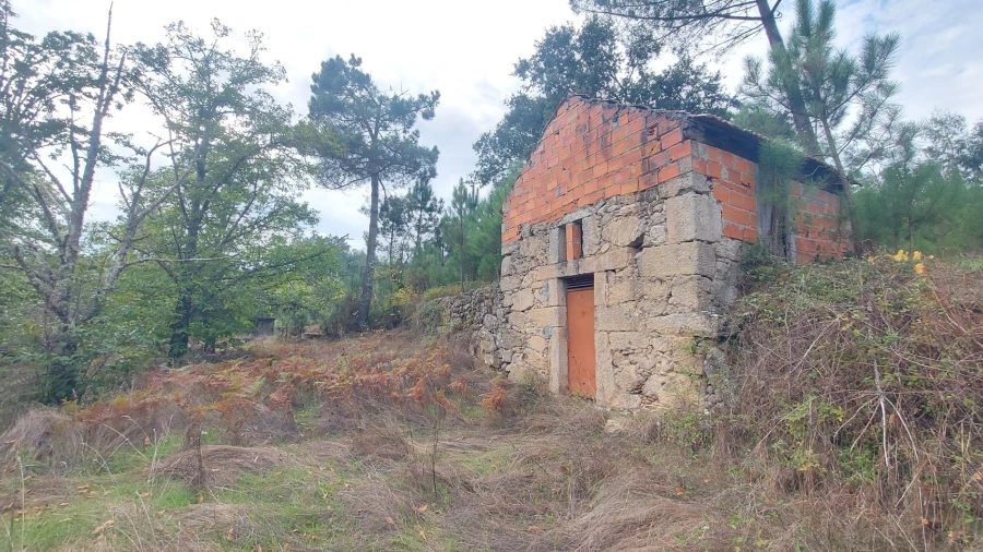 Terreno Agricola ou Rústico para Venda em Mangualde, Mesquitela e Cunha Alta