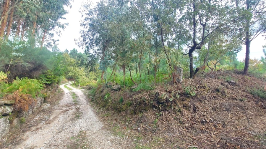 Quinta T0 para Venda em Mangualde, Mesquitela e Cunha Alta