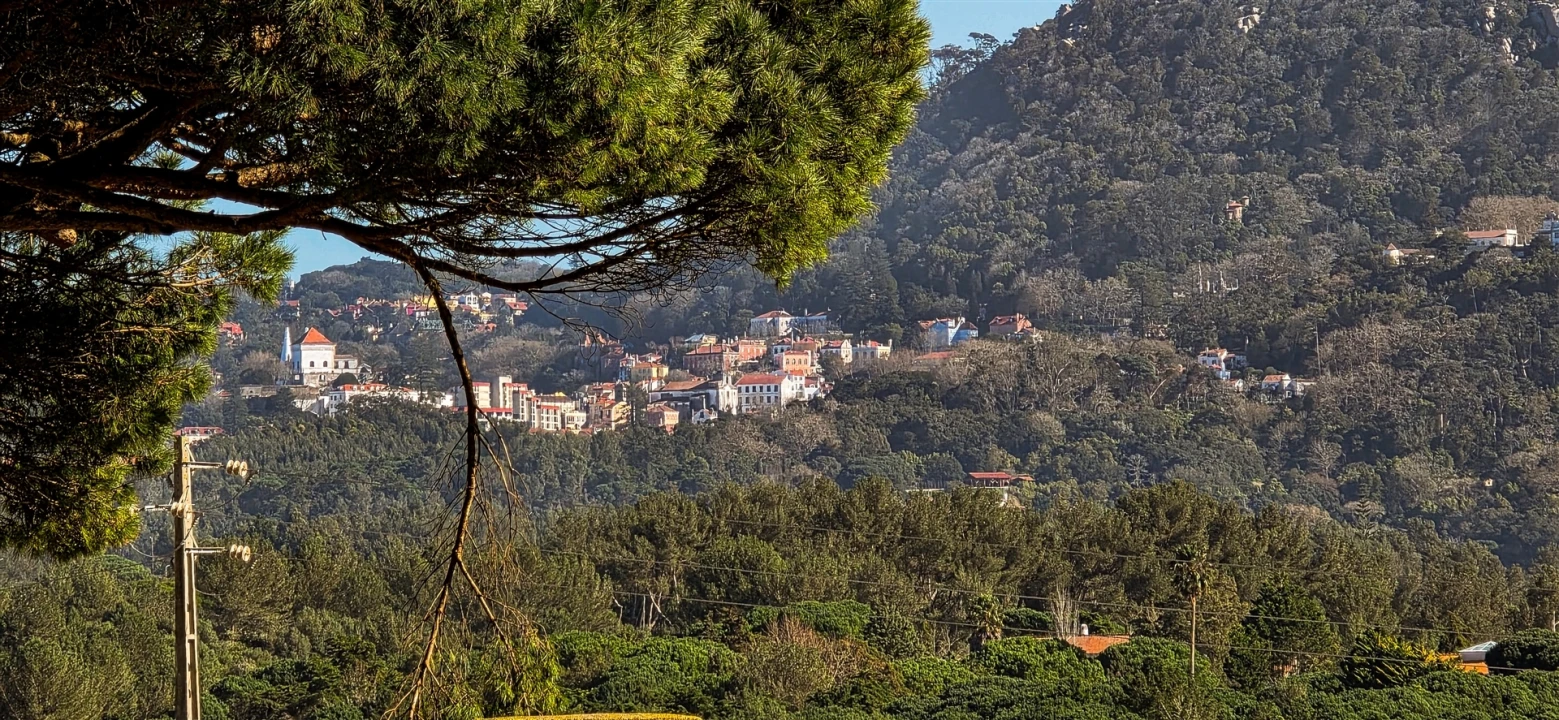 Moradia T4 para Venda em Santa Maria e São Miguel, São Martinho, São Pedro Penaferrim Foto 41