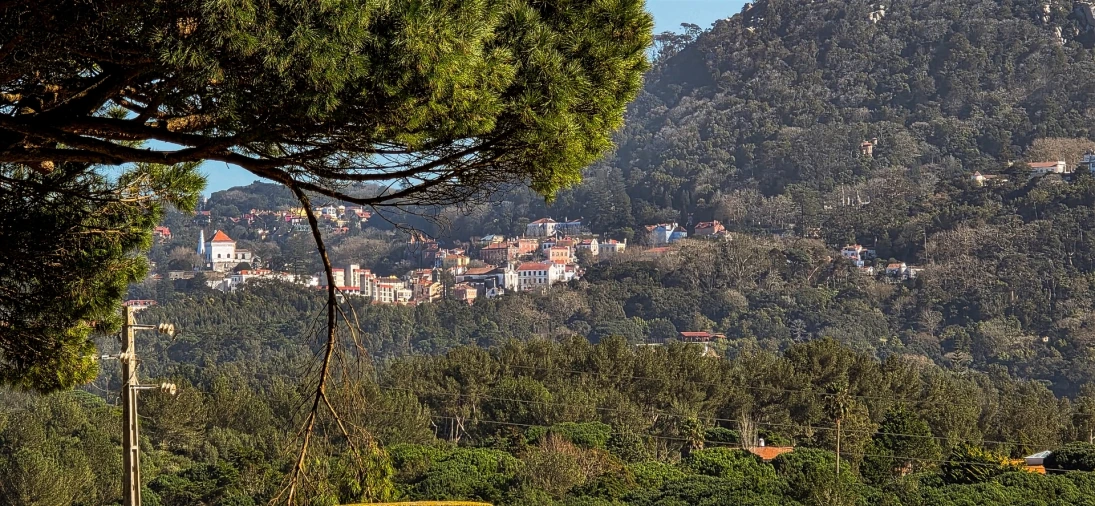 Moradia T4 para Venda em Santa Maria e São Miguel, São Martinho, São Pedro Penaferrim Foto 41