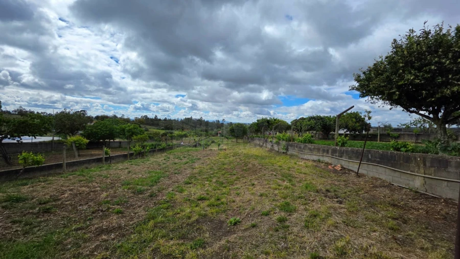 Moradia T2 para Venda em Benquerenças Foto 24