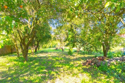 Quarto para Arrendamento em Aradas