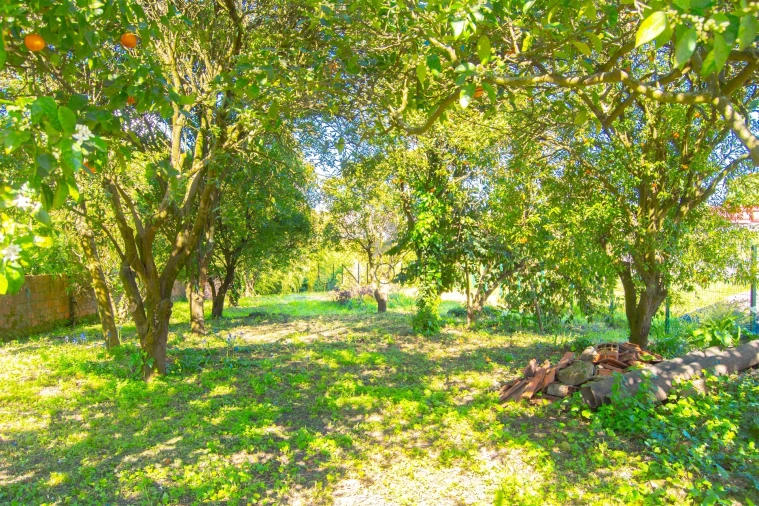 Quarto para Arrendamento em Aradas Foto 8