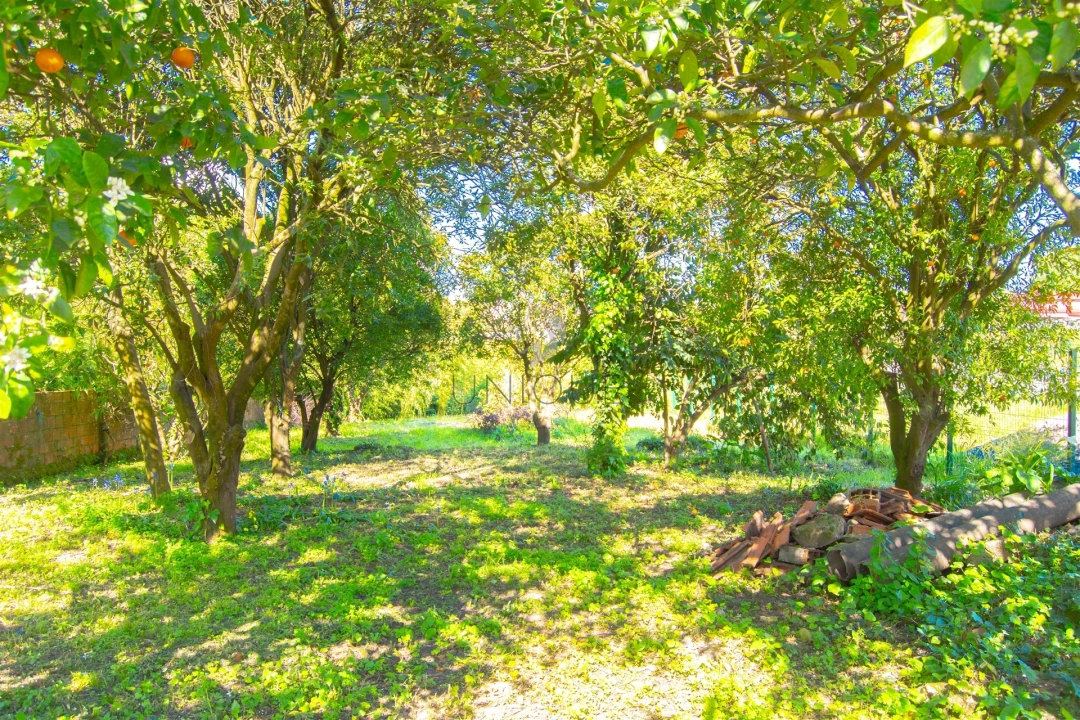 Quarto para Arrendamento em Aradas Foto 8