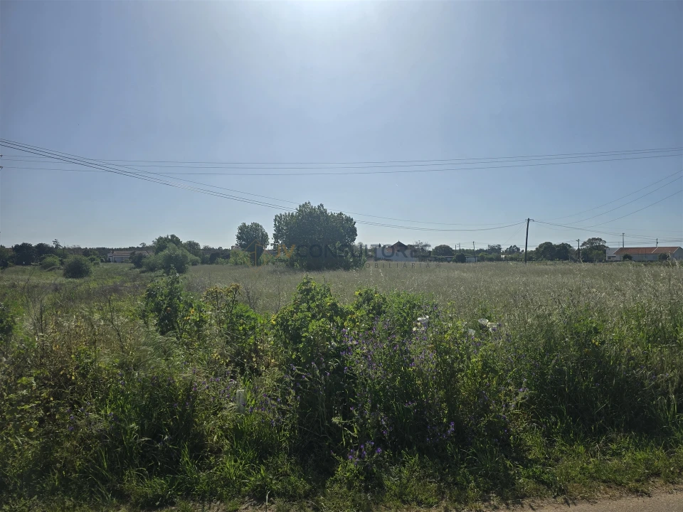 Terreno para Venda em Soza Foto 7
