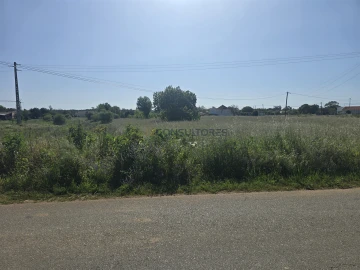 Terreno para Venda em Soza