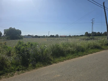 Terreno para Venda em Soza