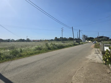 Terreno para Venda em Soza