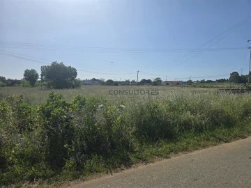 Terreno para Venda em Soza